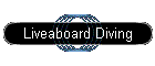 Liveaboard Diving